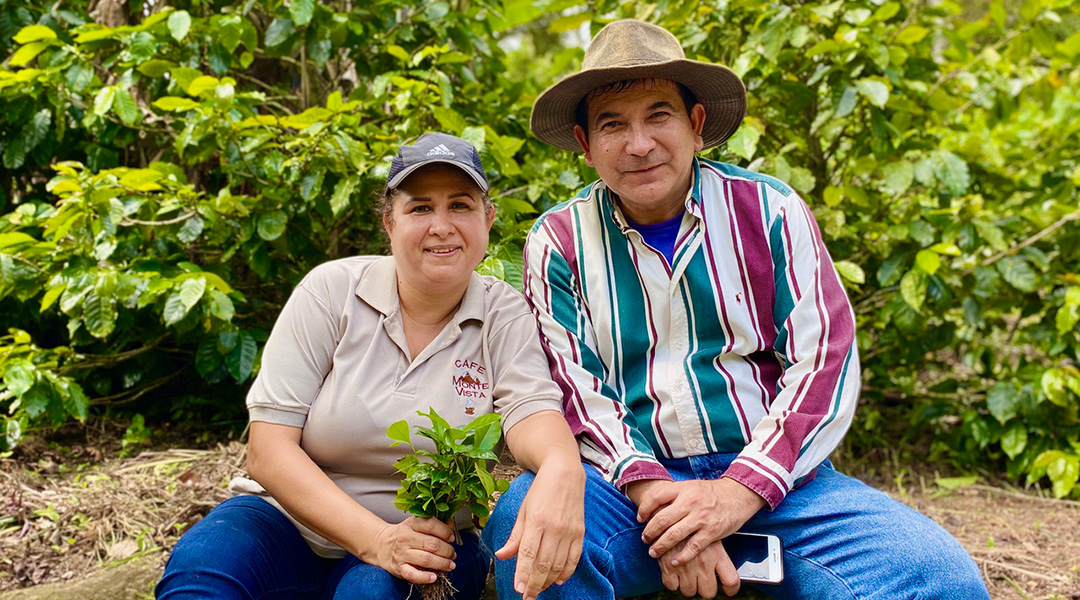 Discover Monte Vista Coffee’s multigenerational Family-Owned Coffee Farm